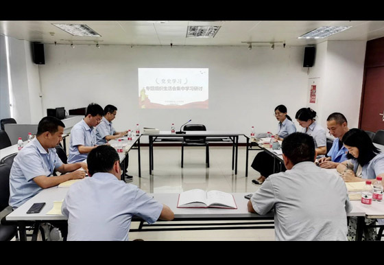 珠海龍獅瓶蓋公司黨支部召開專題組織生活會 集中學習研討