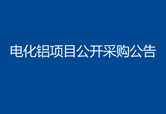 珠海經(jīng)濟(jì)特區(qū)龍獅瓶蓋有限公司電化鋁項(xiàng)目公開采購公告