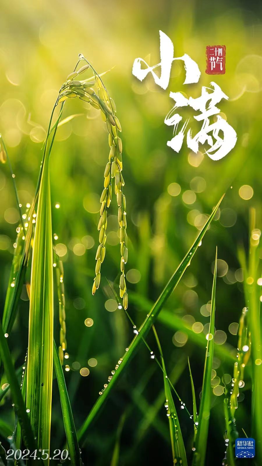 微信圖片_20240520173054.jpg